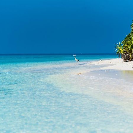 Villa Kamadhoo Eksteriør bilde