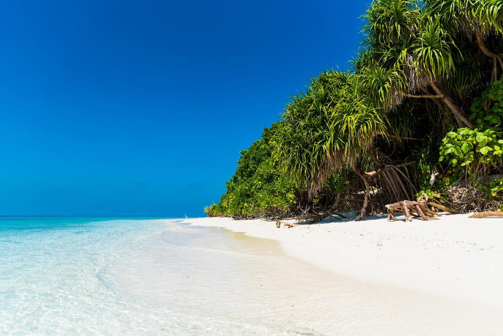 Villa Kamadhoo Eksteriør bilde