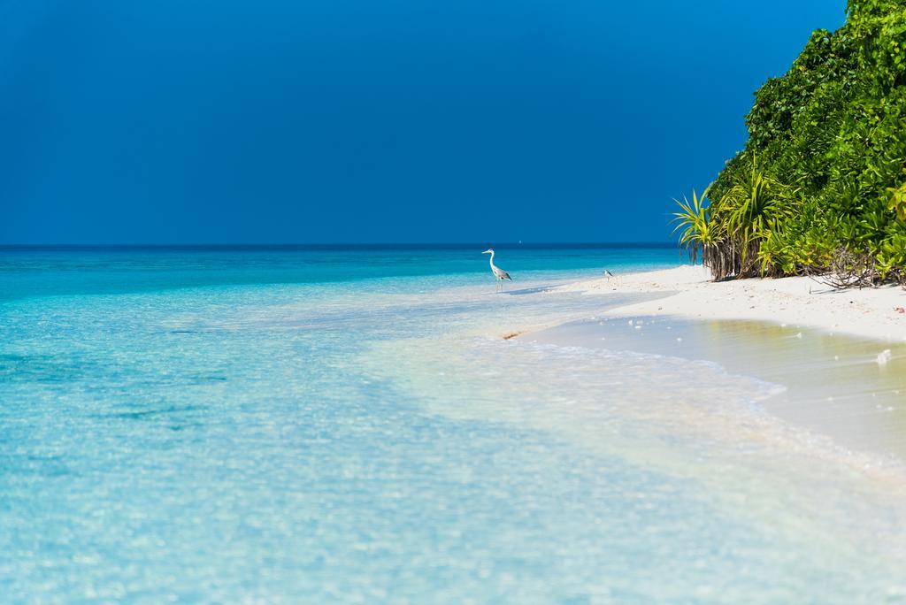 Villa Kamadhoo Eksteriør bilde