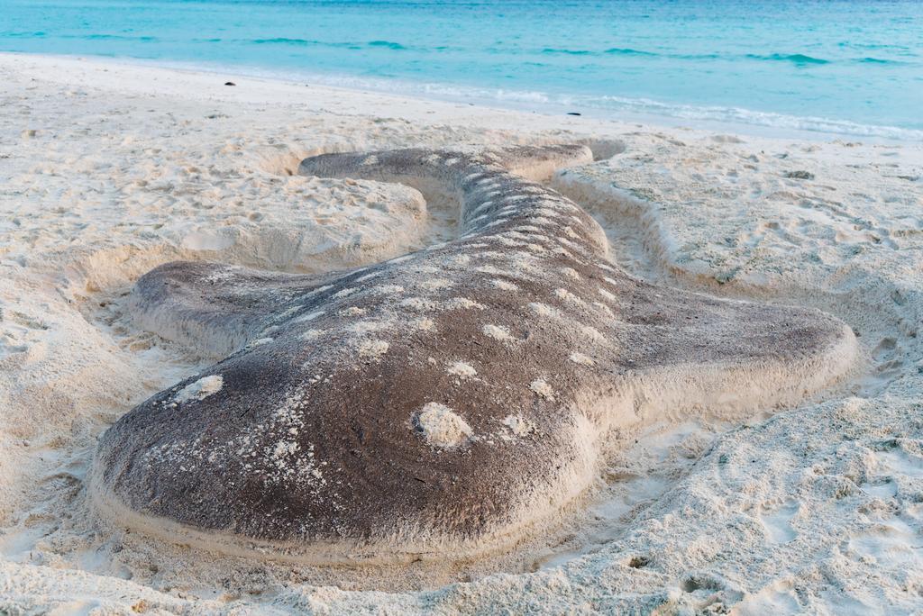 Villa Kamadhoo Eksteriør bilde
